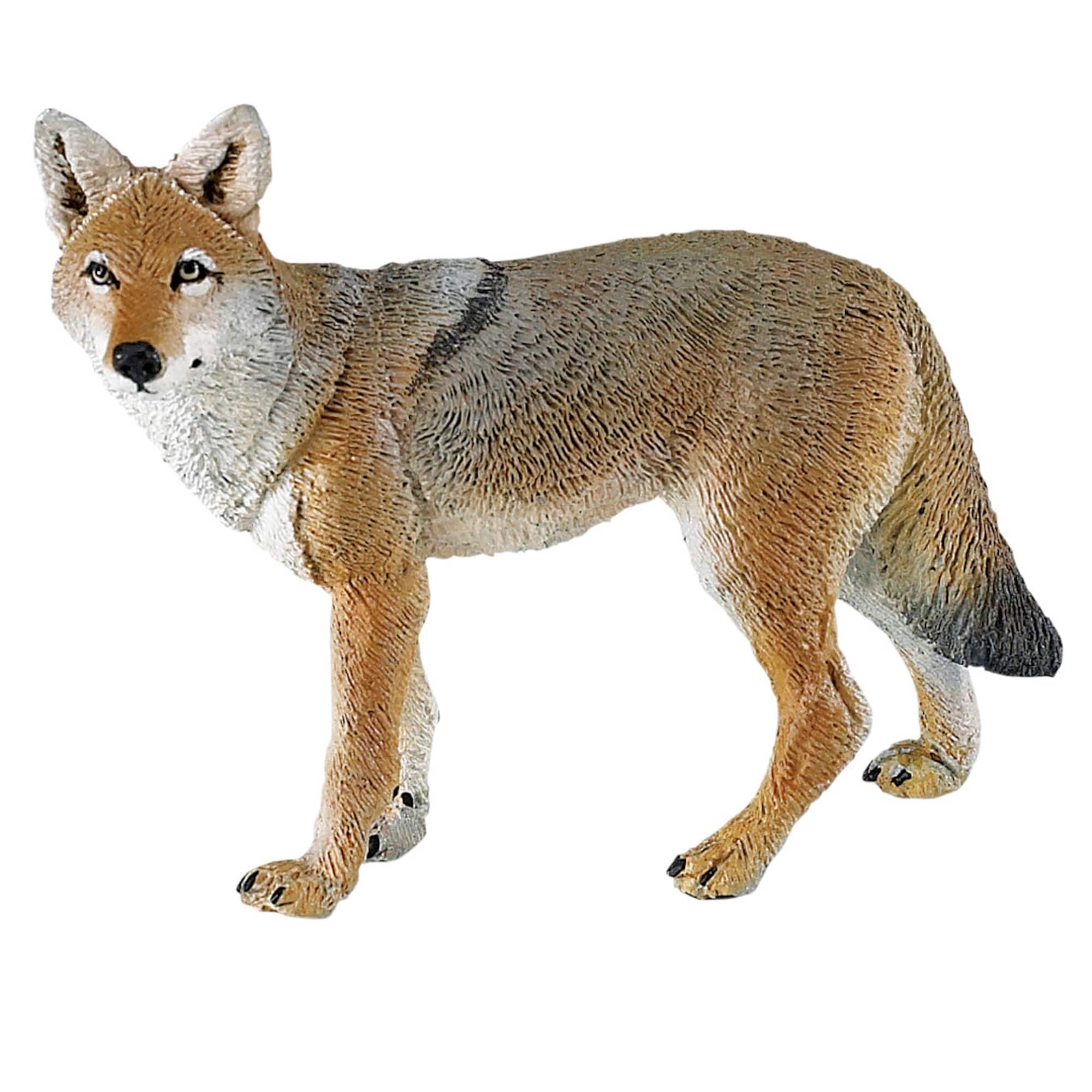 Safari Ltd® Coyote